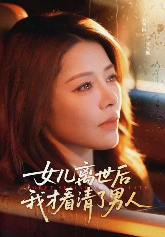 《女儿离世后我才看清了男人》-VIP部落