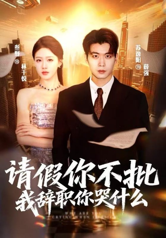 《请假你不批，我辞职你哭什么》-VIP部落