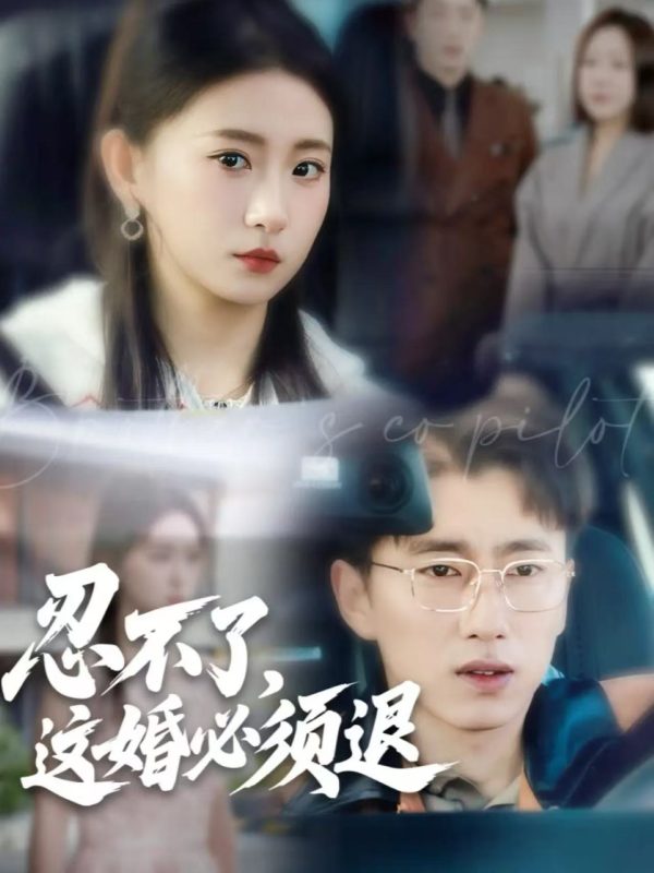 《忍不了，这婚必须退》-VIP部落