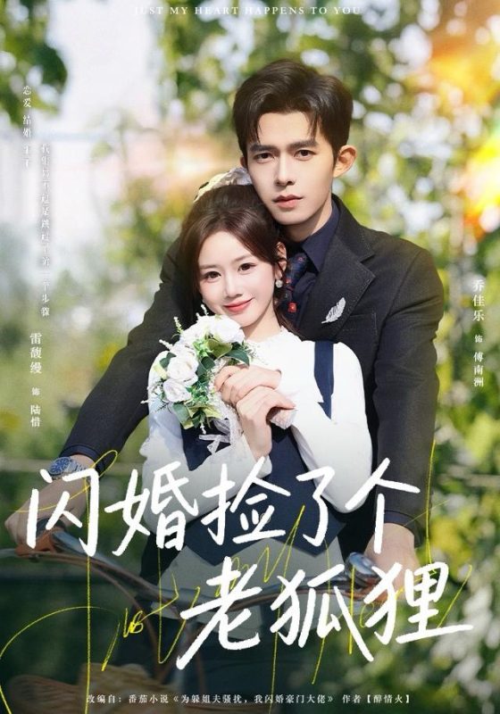 《闪婚捡了个老狐狸》-VIP部落