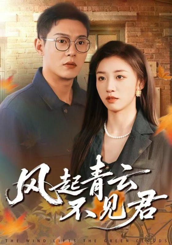 《风起青云不见君》-VIP部落