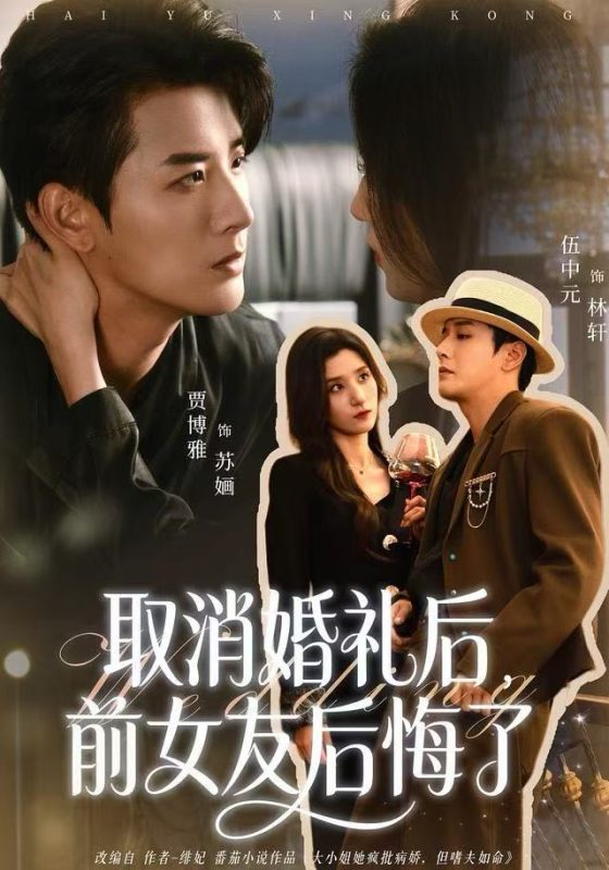 《取消婚礼后，前女友后悔了》-VIP部落