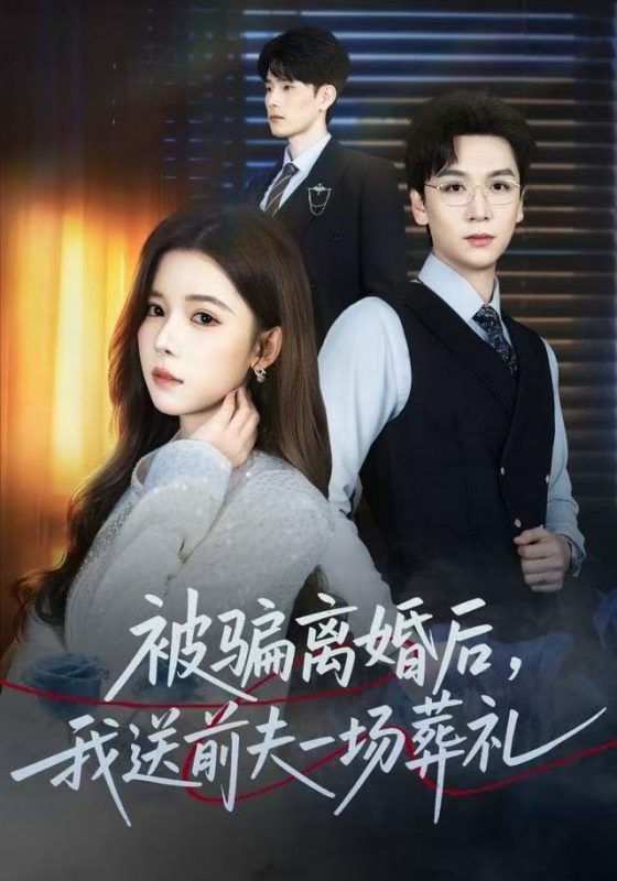 《被骗离婚后，我送前夫一场葬礼》-VIP部落