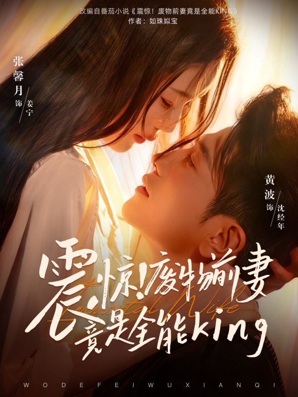《震惊！废物前妻竟是全能King》-VIP部落