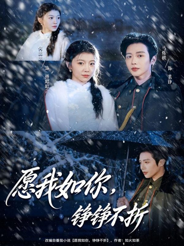 《愿我如你，铮铮不折》-VIP部落