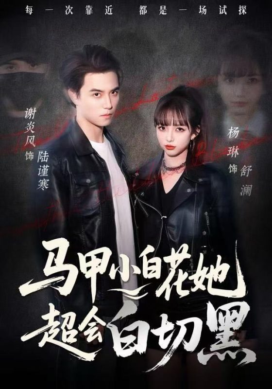 《马甲小白花她超会白切黑》-VIP部落