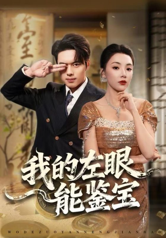《我的左眼能鉴宝》-VIP部落