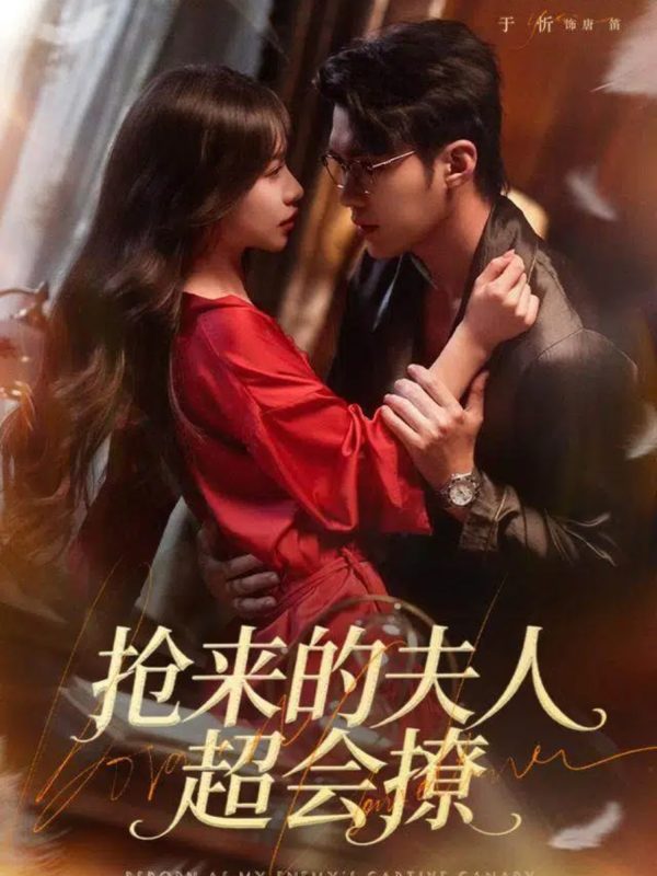 《抢来的夫人超会撩》-VIP部落