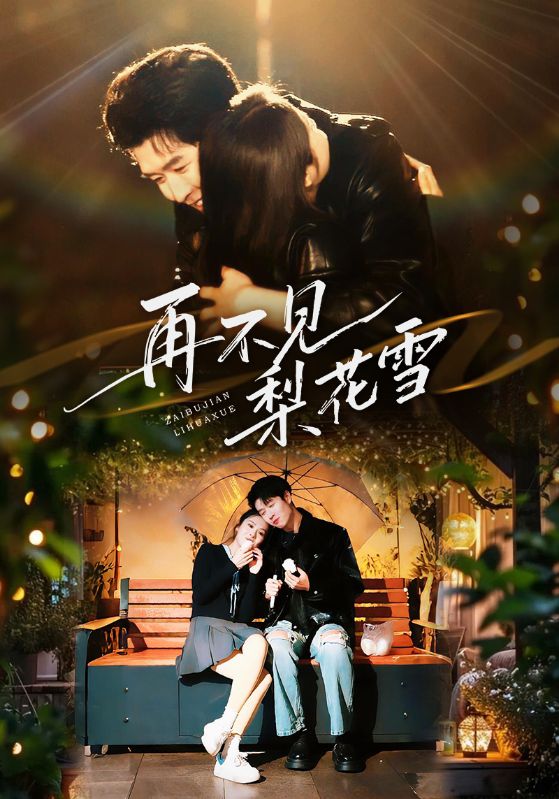 《再不见梨花雪》-VIP部落