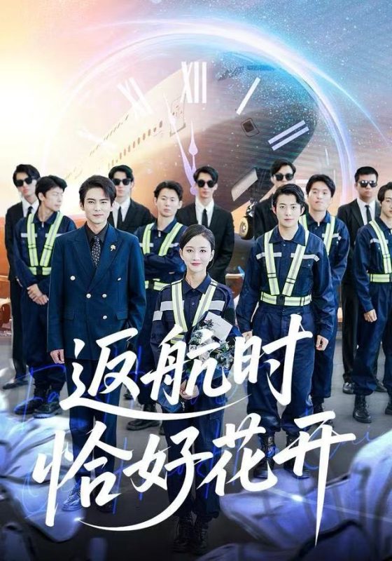 《返航时恰好花开》-VIP部落