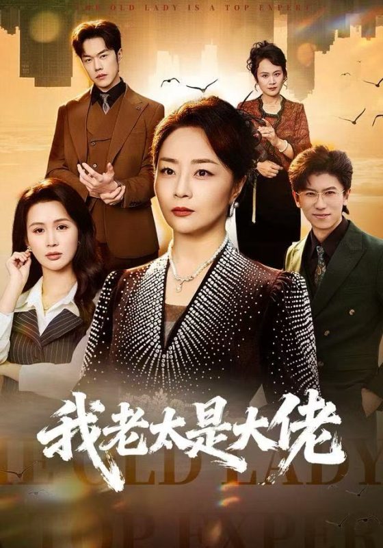《我老太是大佬》-VIP部落