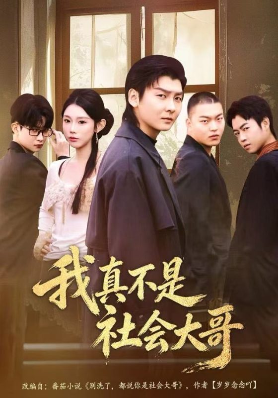 《我真不是社会大哥》-VIP部落