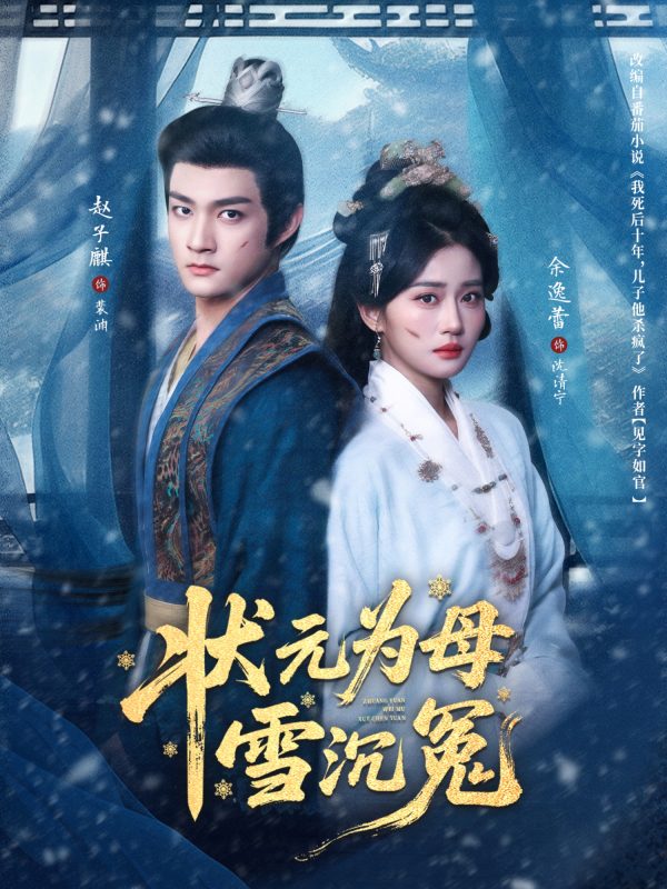 《状元为母雪沉冤》-VIP部落