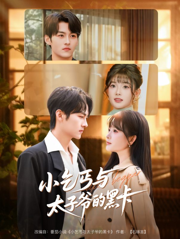 《小乞丐与太子爷的黑卡》-VIP部落