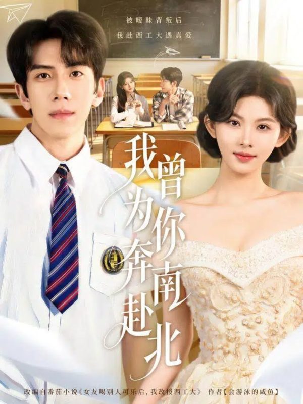 《我曾为你奔南赴北》-VIP部落