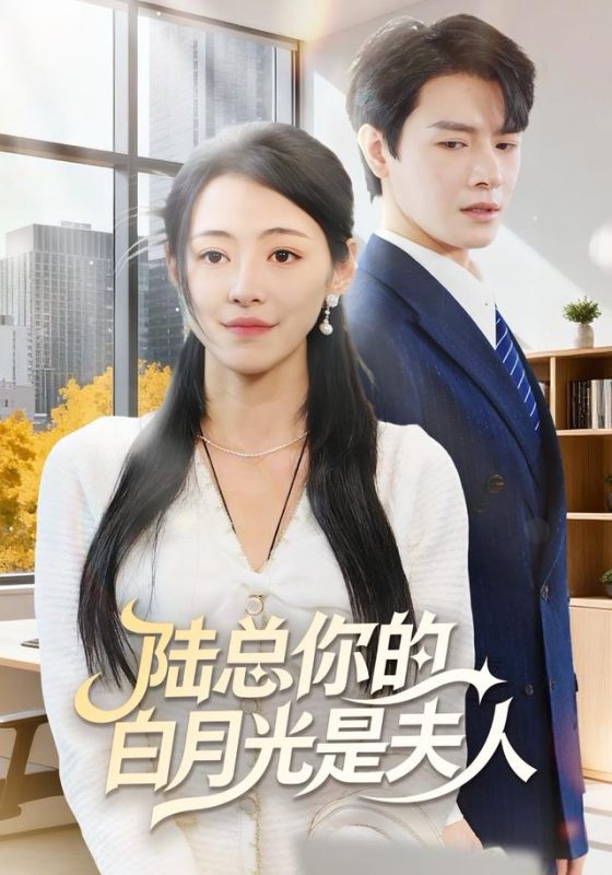 《陆总你的白月光是夫人》-VIP部落