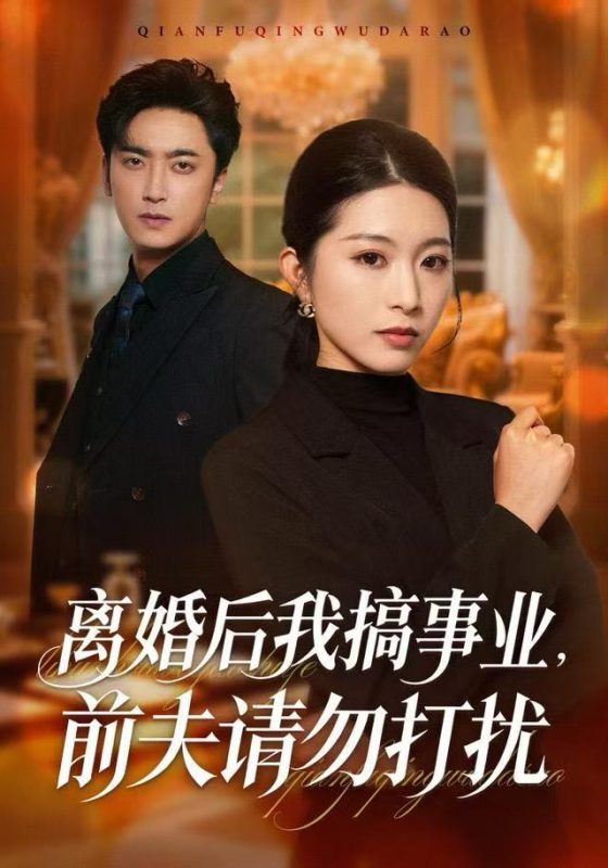 《离婚后我搞事业，前夫请勿打扰》-VIP部落