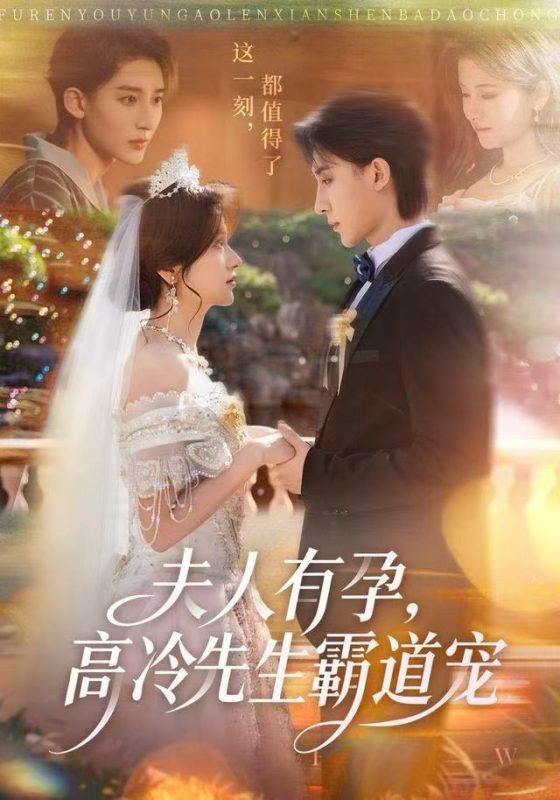 《夫人有孕，高冷先生霸道宠》-VIP部落