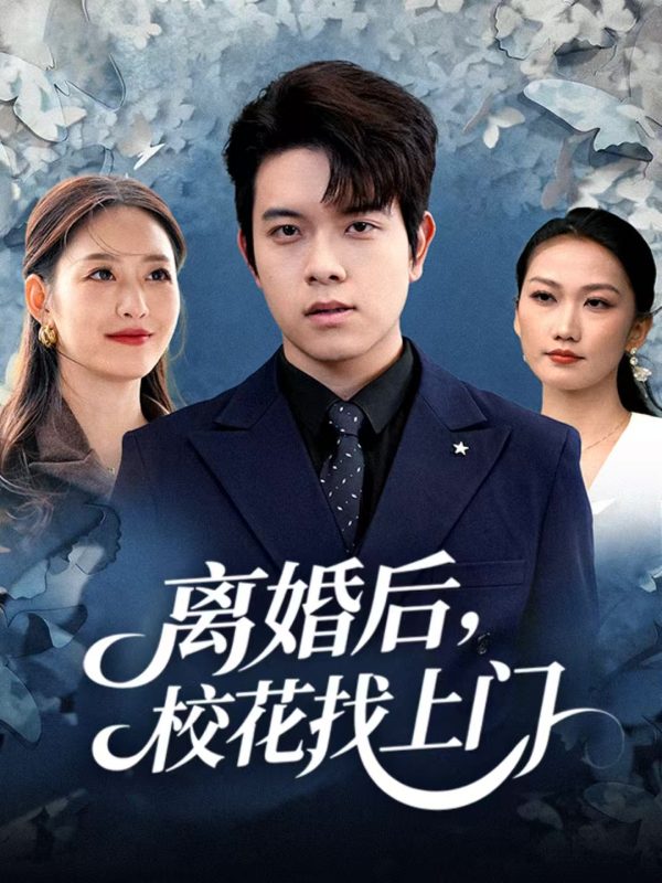 《离婚后，校花找上门》-VIP部落