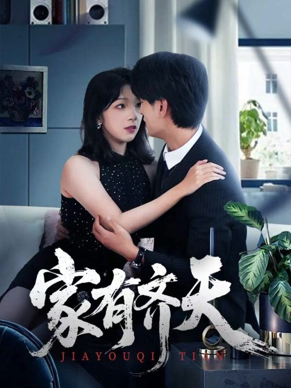 《家有齐天》-VIP部落