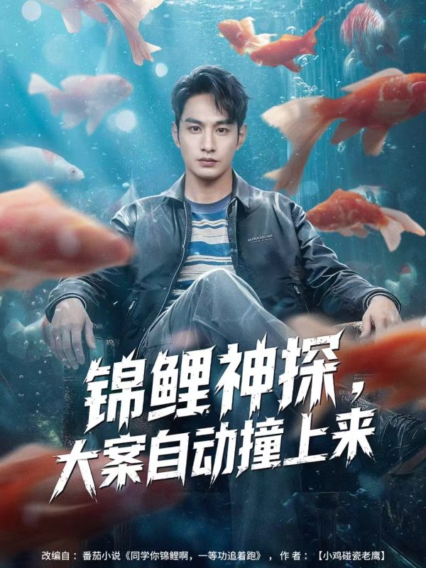 《锦鲤神探，大案自动撞上来》-VIP部落