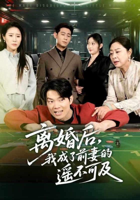《离婚后，我成了前妻的遥不可及》-VIP部落