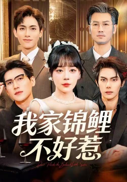 《我家锦鲤不好惹》-VIP部落