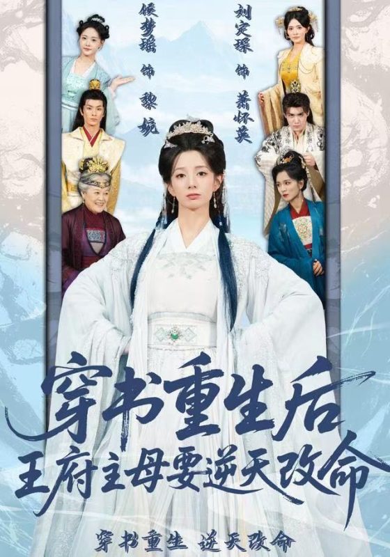 《穿书重生后，王府主母要逆天改命》-VIP部落