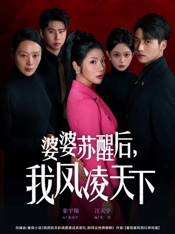 《婆婆苏醒后，我凤凌天下》-VIP部落