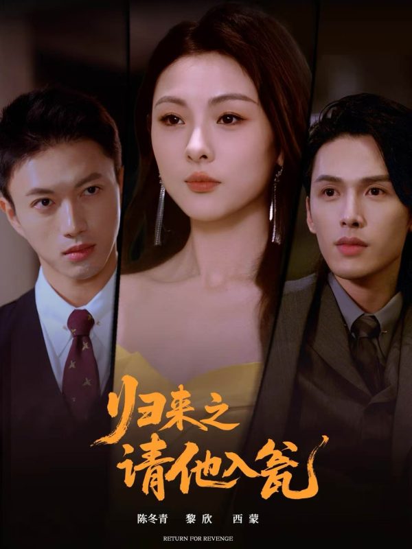《归来之请他入瓮》-VIP部落