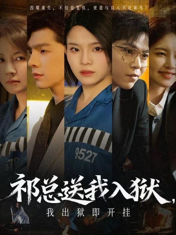 《祁总送我入狱,我出狱即开挂》-VIP部落