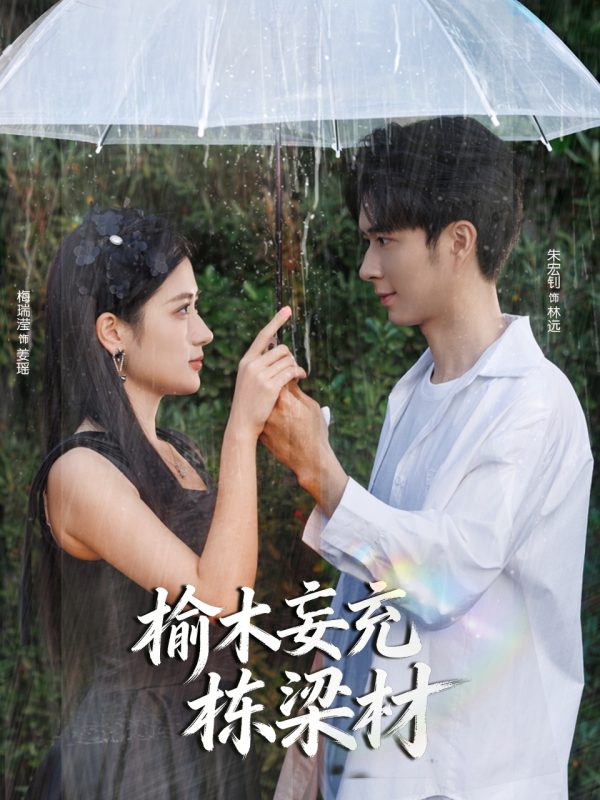 《榆木妄充栋梁材》-VIP部落