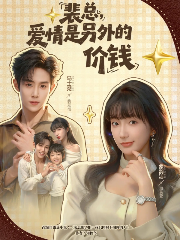 《裴总，爱情是另外的价钱》-VIP部落
