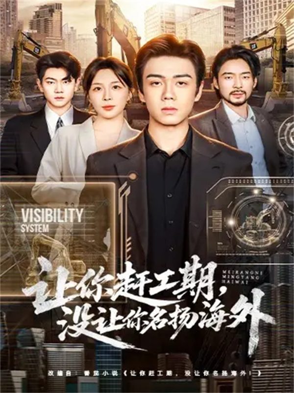 《让你赶工期，没让你名扬海外》-VIP部落