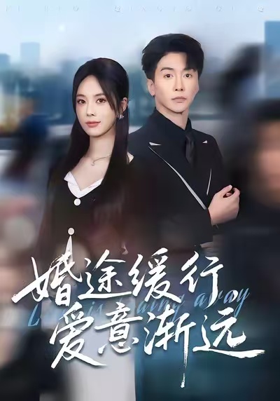 《婚途缓行，爱意渐远》-VIP部落