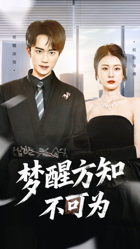 《梦醒方知不可为》-VIP部落