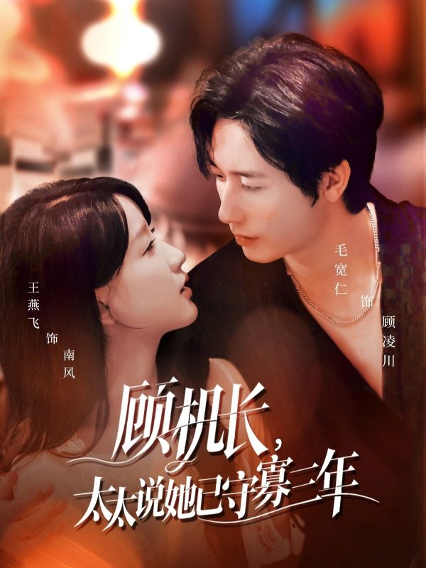 《顾机长，太太说她已守寡三年》-VIP部落