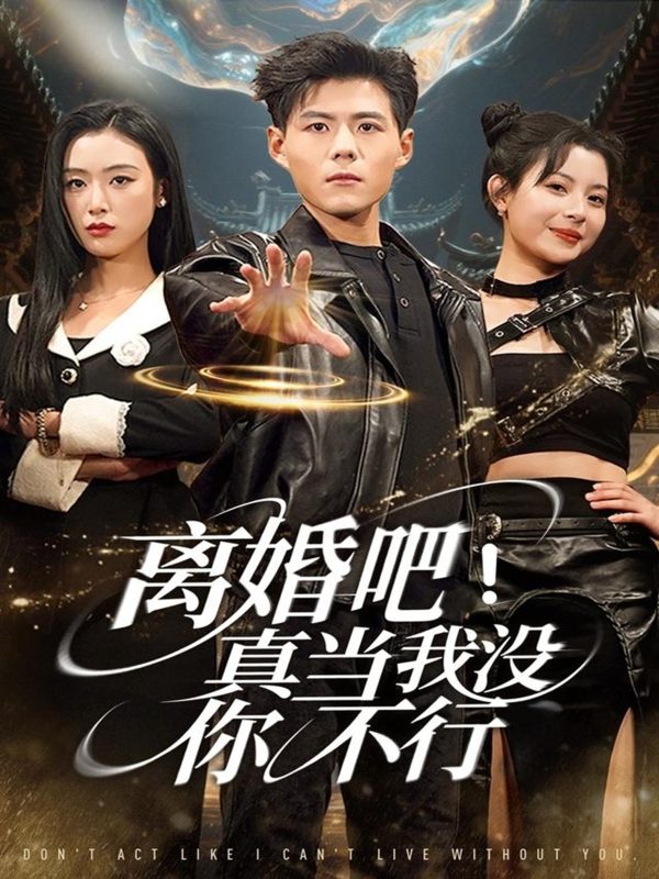 《离婚吧!真当我没你不行》-VIP部落