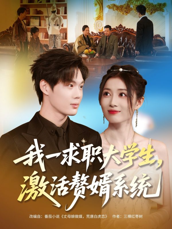 《我一求职大学生，激活赘婿系统》-VIP部落