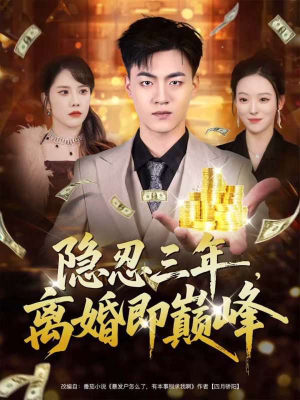 《隐忍三年,离婚即巅峰》-VIP部落