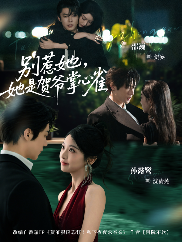 《别惹她，她是贺爷掌心雀》-VIP部落