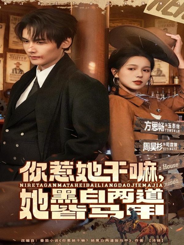 《你惹她干嘛,她黑白两道皆马甲》-VIP部落