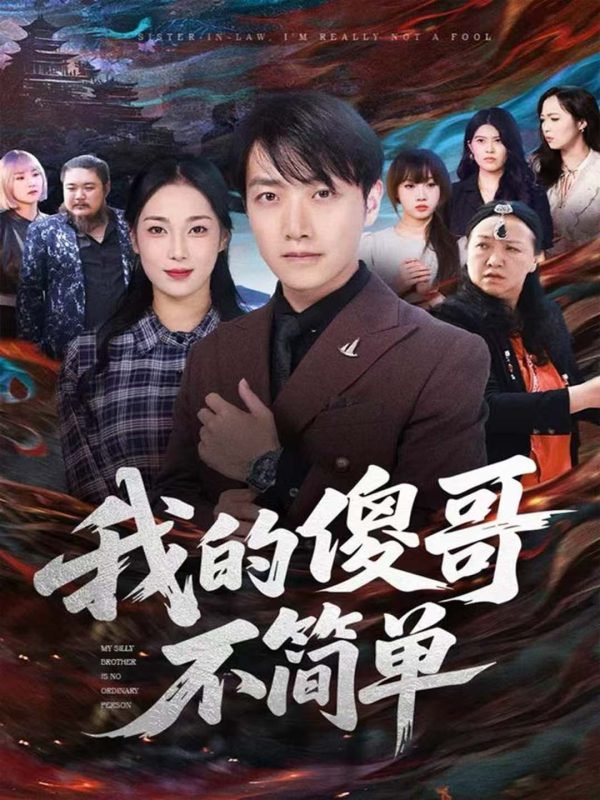 《我的傻哥不简单》-VIP部落
