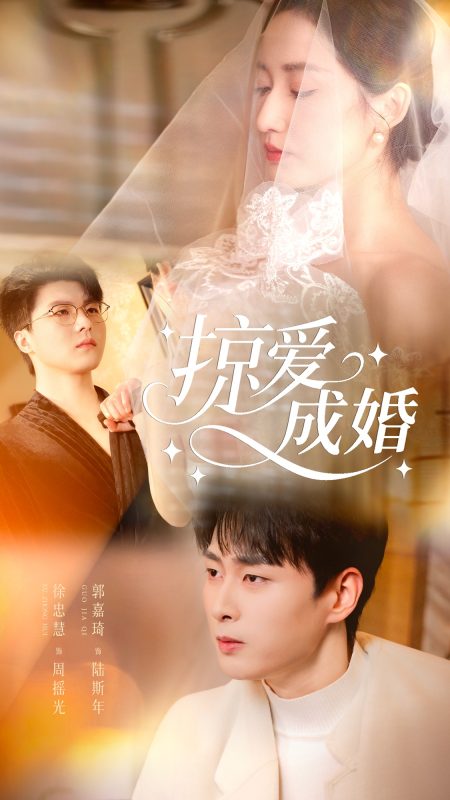 《掠爱成婚》-VIP部落