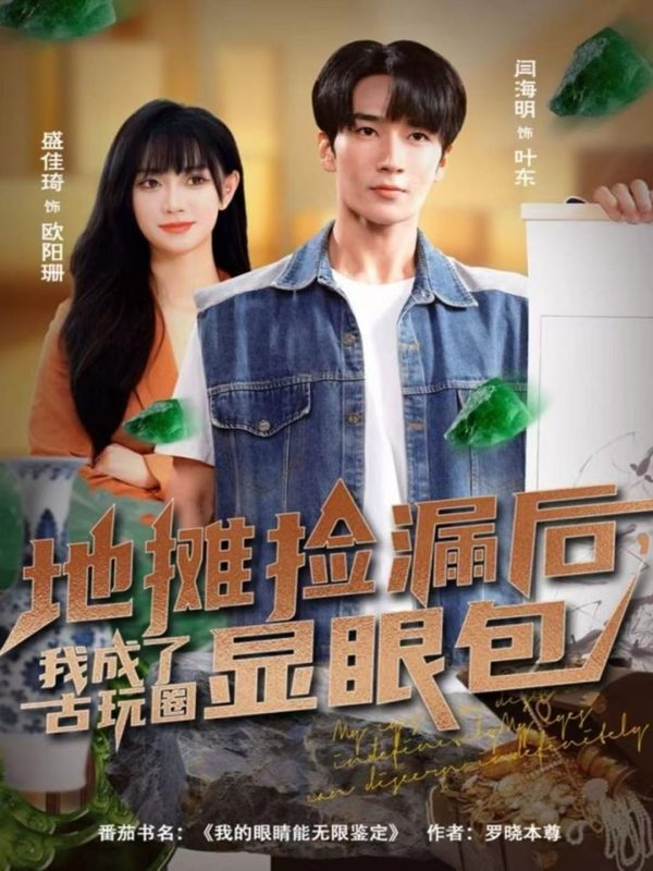 《地摊捡漏后,我成了古玩圈显眼包》-VIP部落