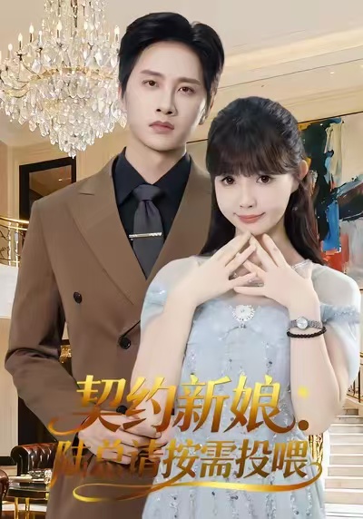 《契约新娘：陆总请按需投喂》-VIP部落