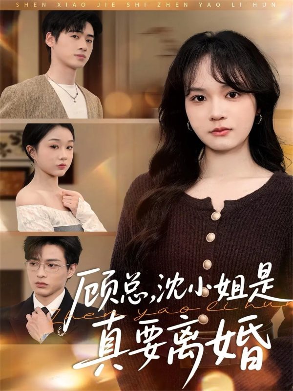 《顾总,沈小姐是真的要离婚》-VIP部落