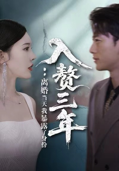 《入赘三年：离婚当天我暴露了身份》-VIP部落