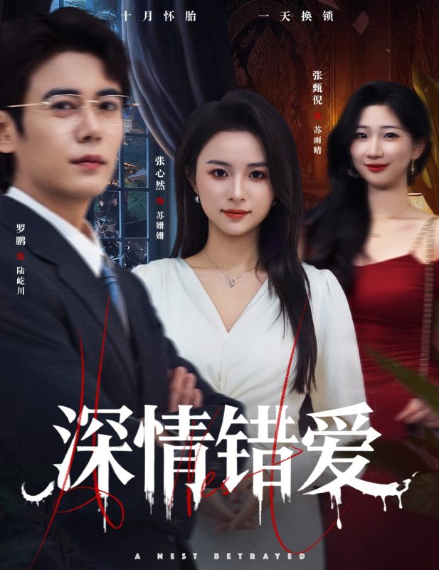 《深情错爱》-VIP部落