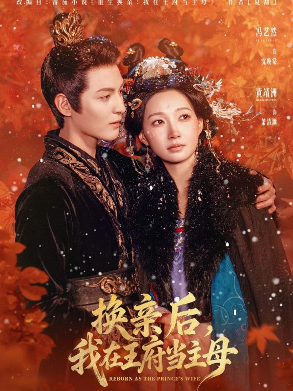 《换亲后,我在王府当主母》-VIP部落